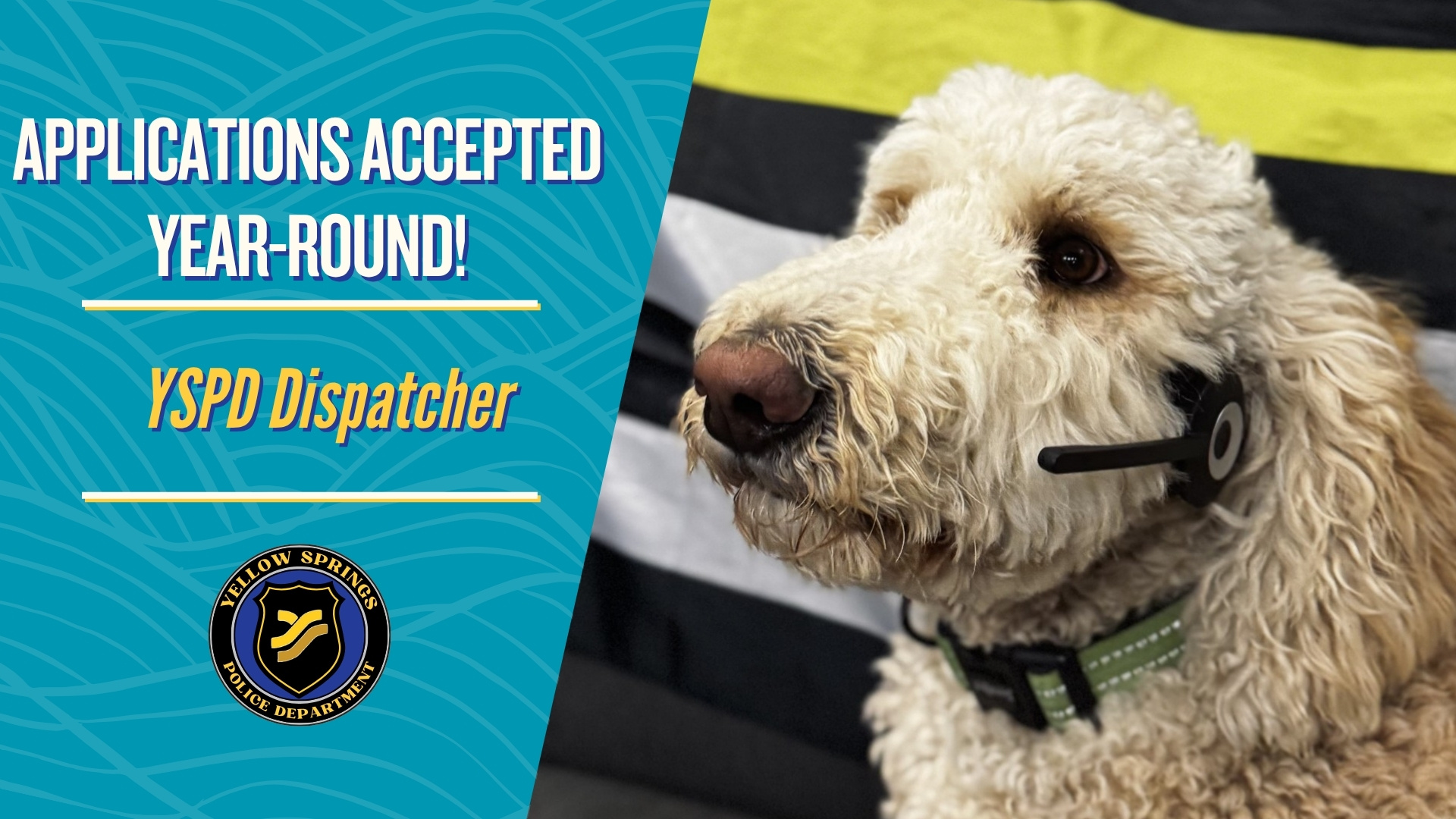 YSPD Dispatcher application flier